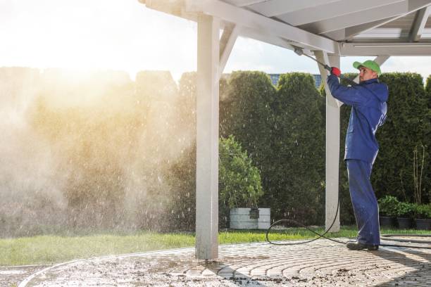 Best Solar Panel Cleaning  in Odenton, MD