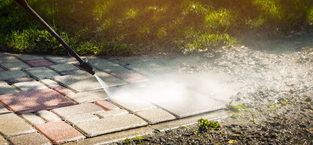 Best Driveway Pressure Washing  in Odenton, MD